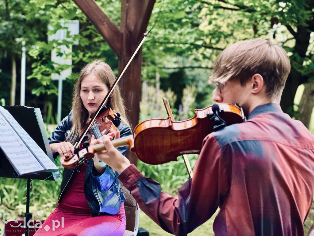 Kolejny wieczór muzyki skrzypcowej w Prochowicach
