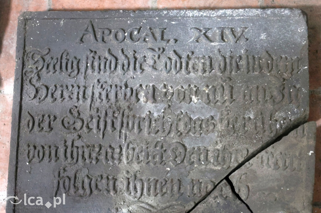 Wolontariusze dokumentują Zamek Piastowski