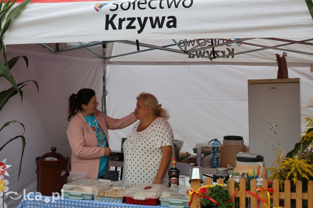 Dożynki Gminne 2025 w Konradówce