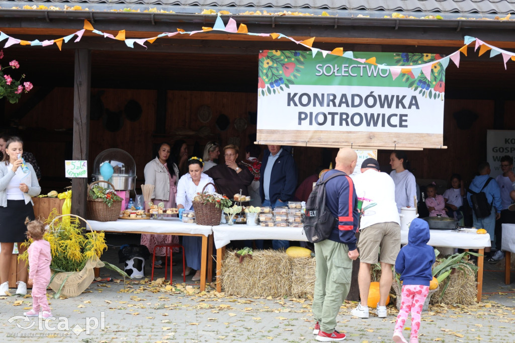 Dożynki Gminne 2025 w Konradówce