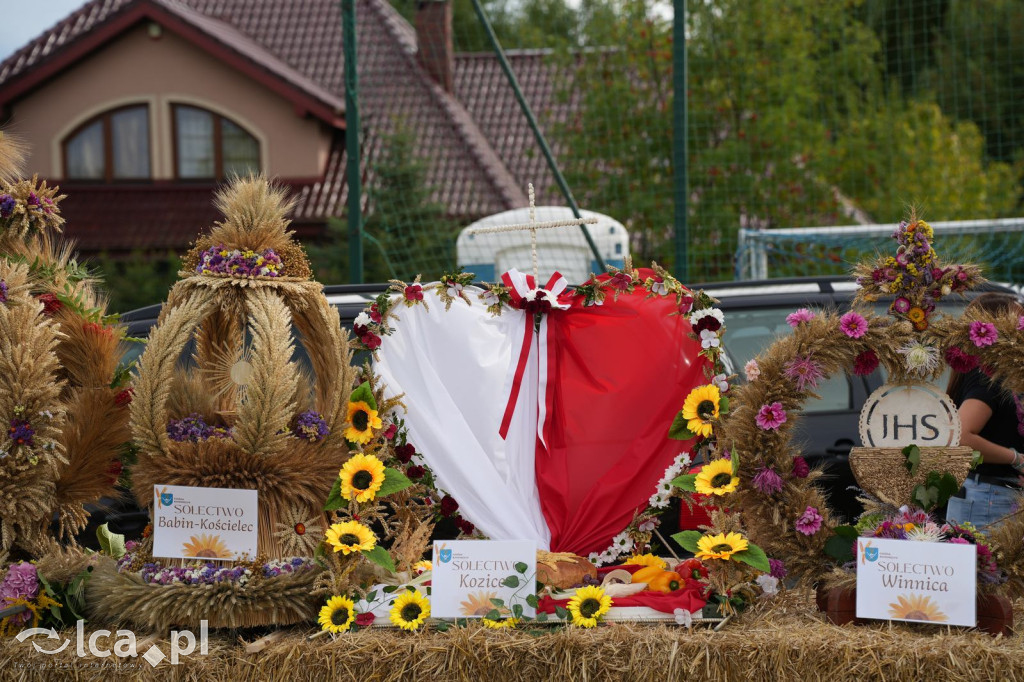 Święto plonów w Krotoszycach