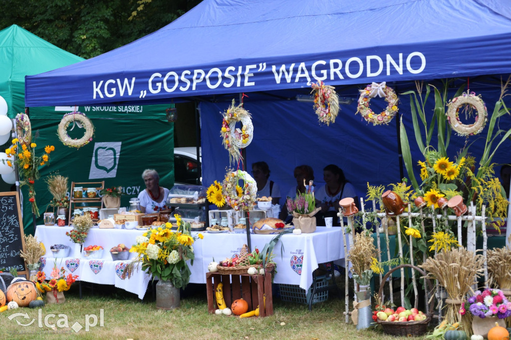 Dożynki Powiatowo-Gminne 2025 w Brenniku