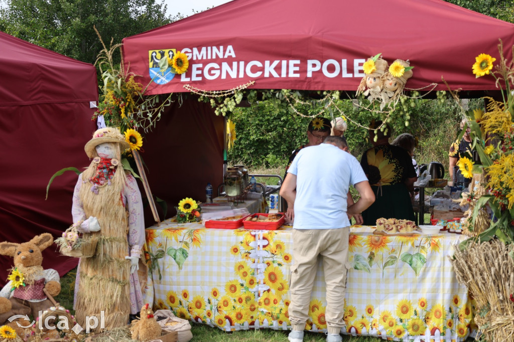 Dożynki Gminno-Diecezjalne w Legnickim Polu