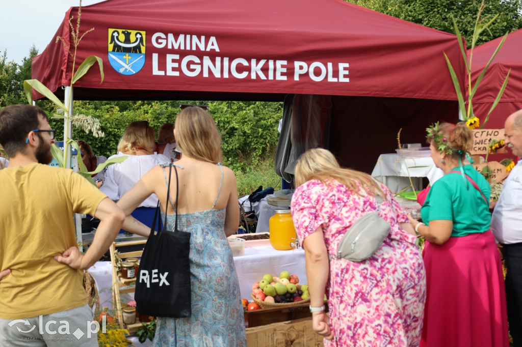 Dożynki Gminno-Diecezjalne w Legnickim Polu