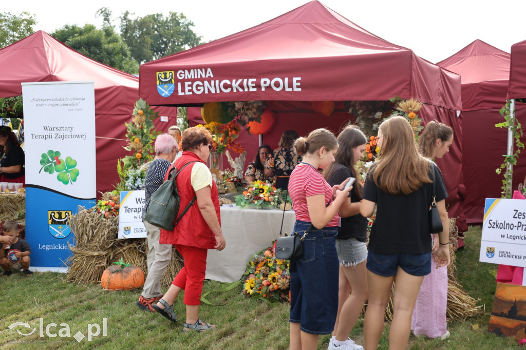 Dożynki Gminno-Diecezjalne w Legnickim Polu