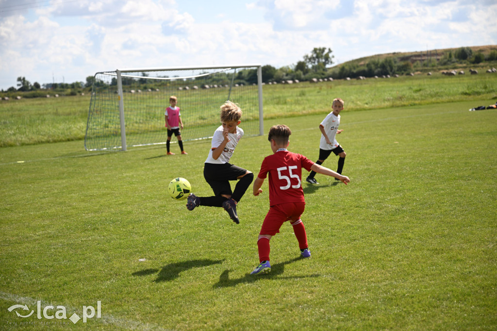 11 drużyn rywalizowało w Mewa Cup w Kunicach