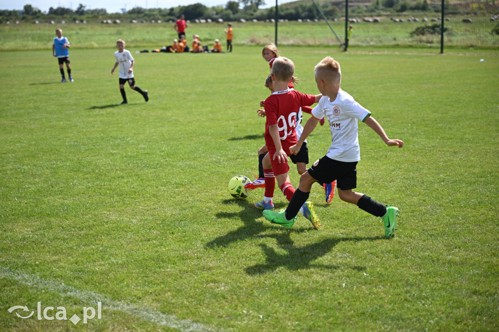 11 drużyn rywalizowało w Mewa Cup w Kunicach