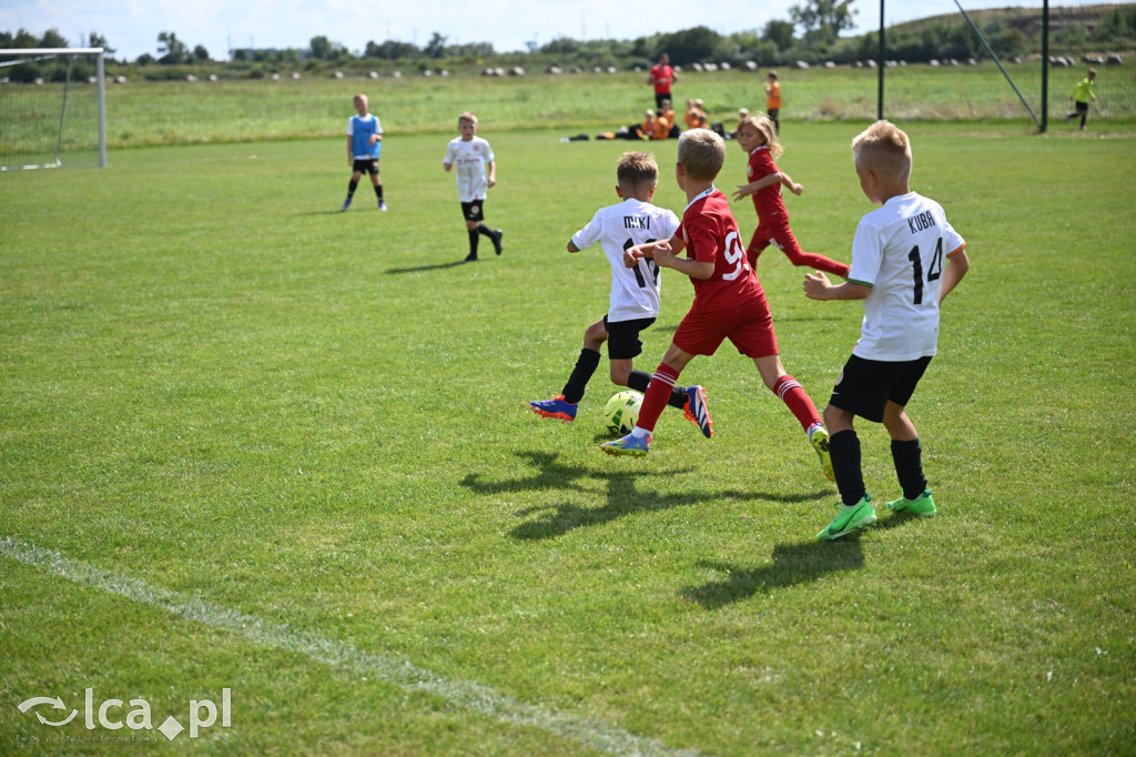 11 drużyn rywalizowało w Mewa Cup w Kunicach