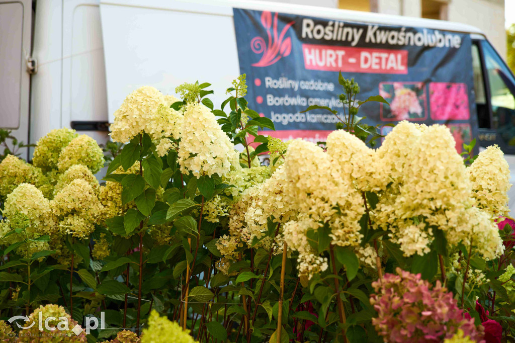 Osiedle Sienkiewicza zakończyło wakacje festynem