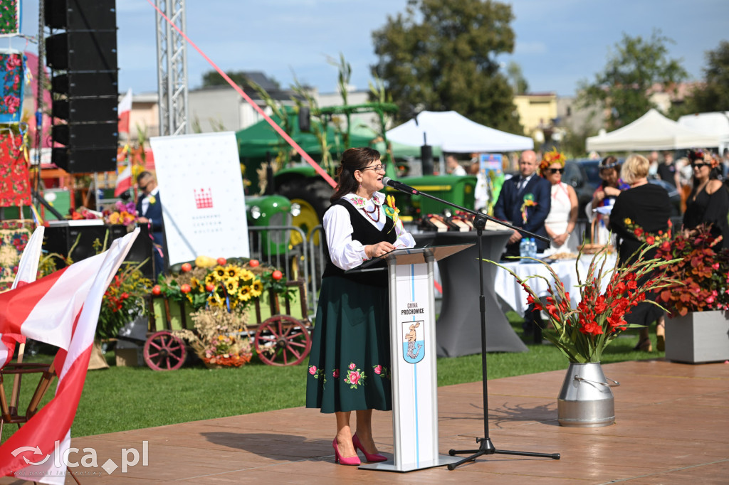 Dożynki 2025 w Prochowicach