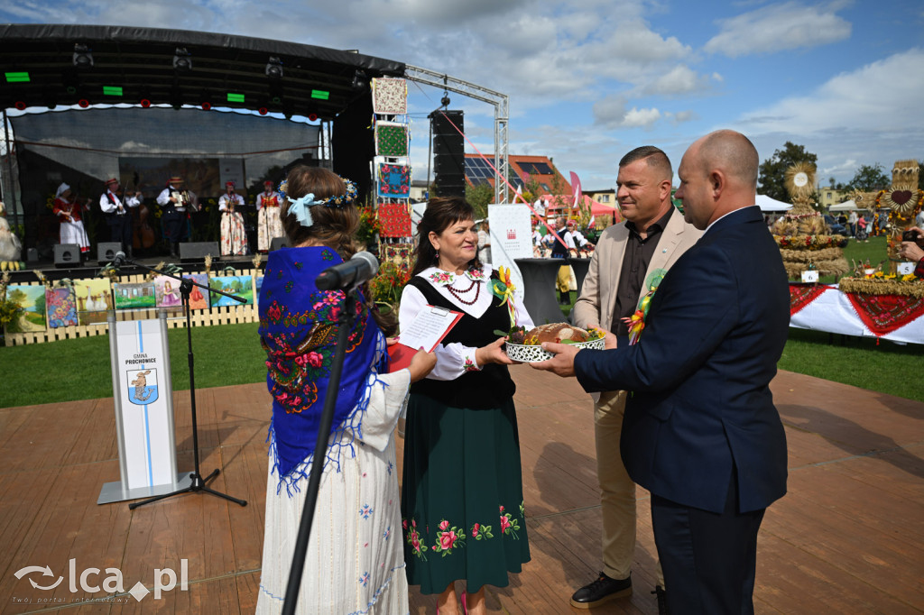 Dożynki 2025 w Prochowicach