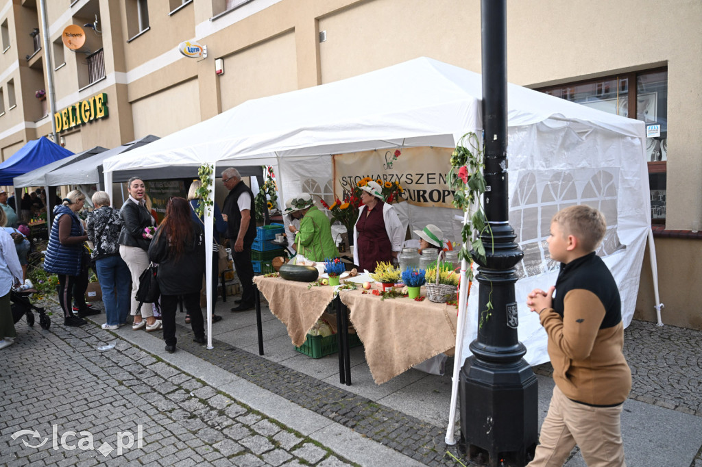 Święto Ogórka wróciło do Legnicy po 15 latach
