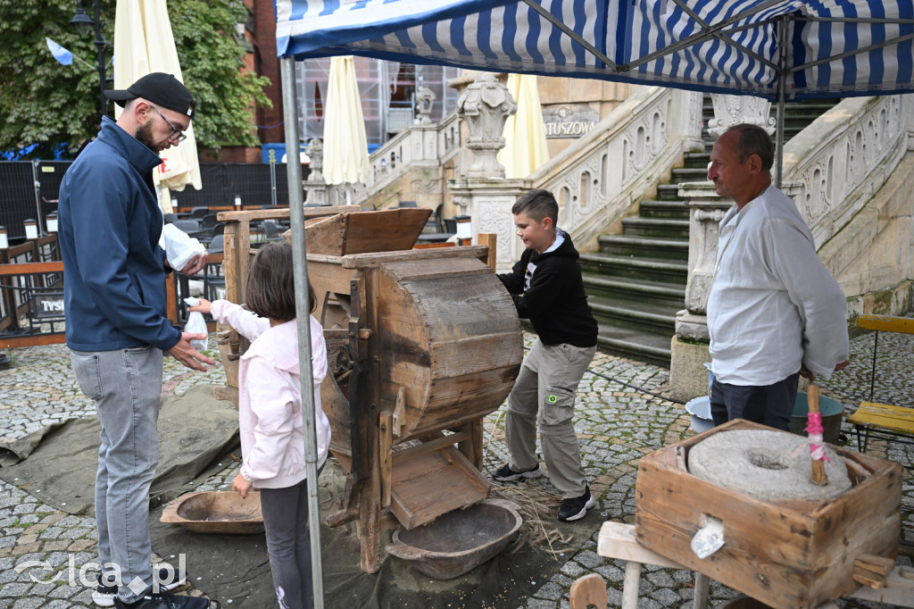 Festiwal Kultur „Kto siedzi na miedzi (-y)?”