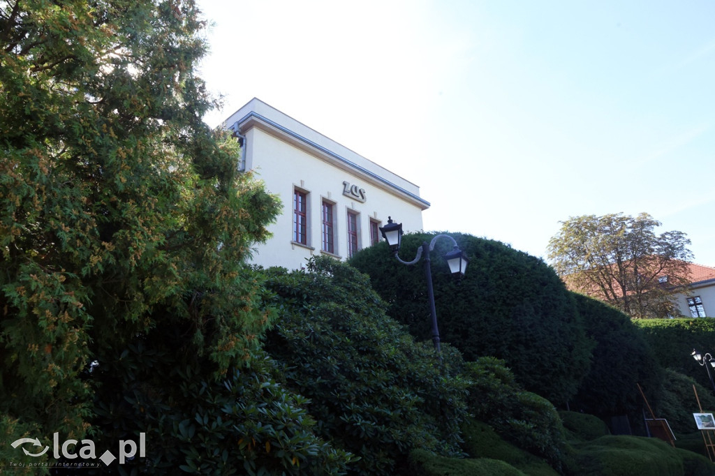 Legnickie spacery historyczne – tajemnice ZUS