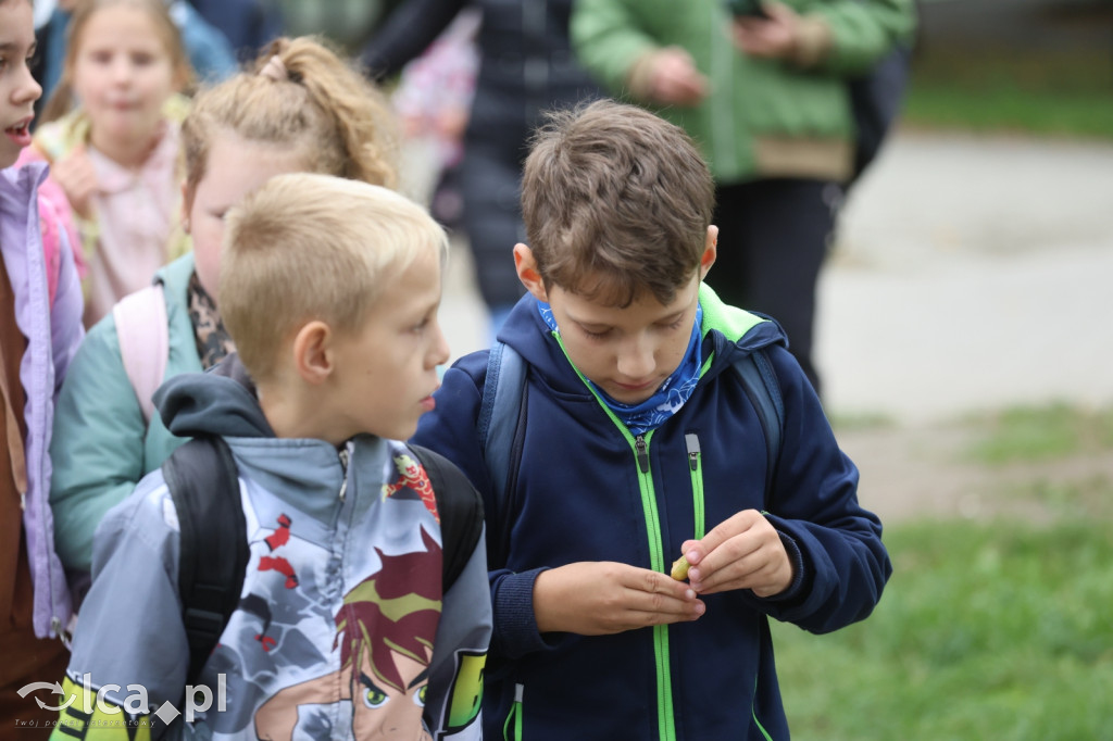 Mini Rajd Jarzębina zgromadził ponad 600 dzieci