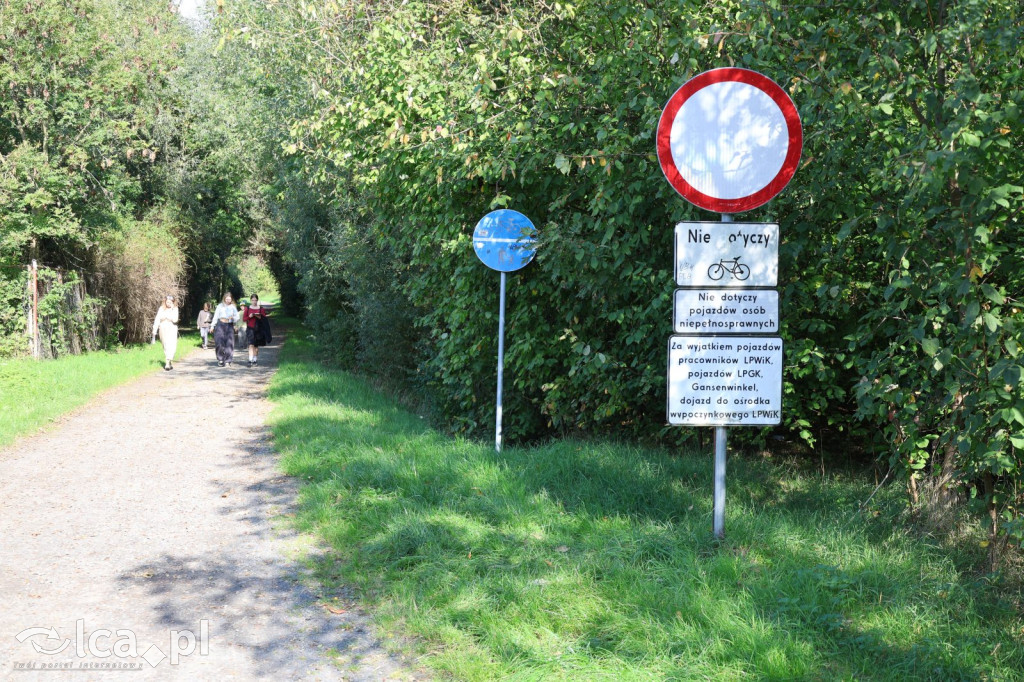 Questy w Kunicach – edukacyjna gra terenowa