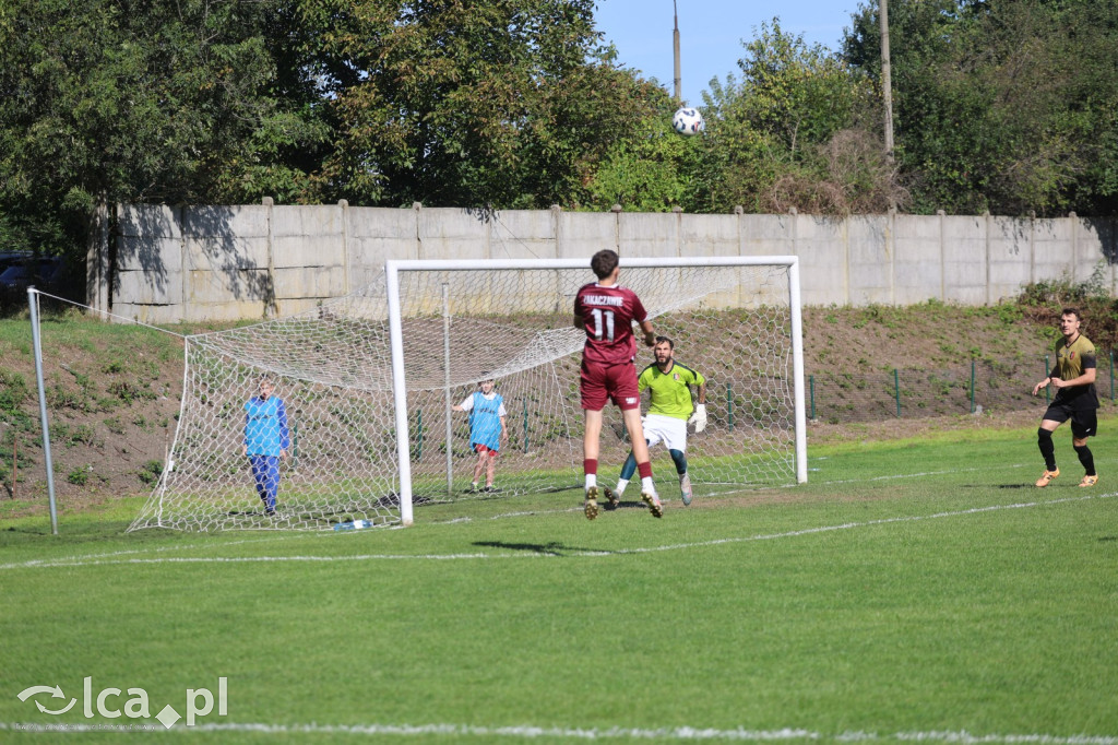 Zakaczawie Legnica pewnie ograło Victorię Niemstów