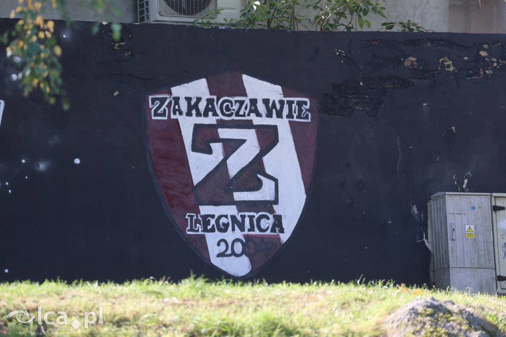 Zakaczawie Legnica pewnie ograło Victorię Niemstów