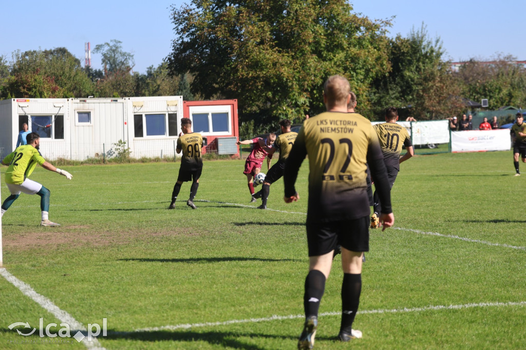 Zakaczawie Legnica pewnie ograło Victorię Niemstów