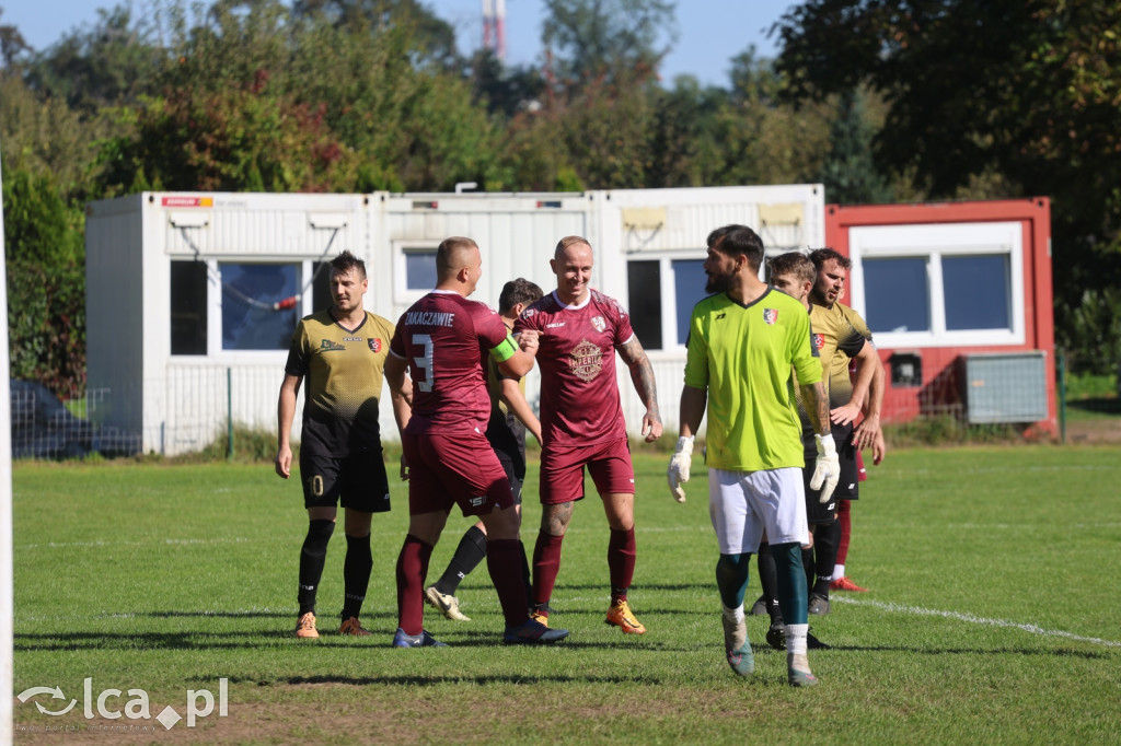 Zakaczawie Legnica pewnie ograło Victorię Niemstów
