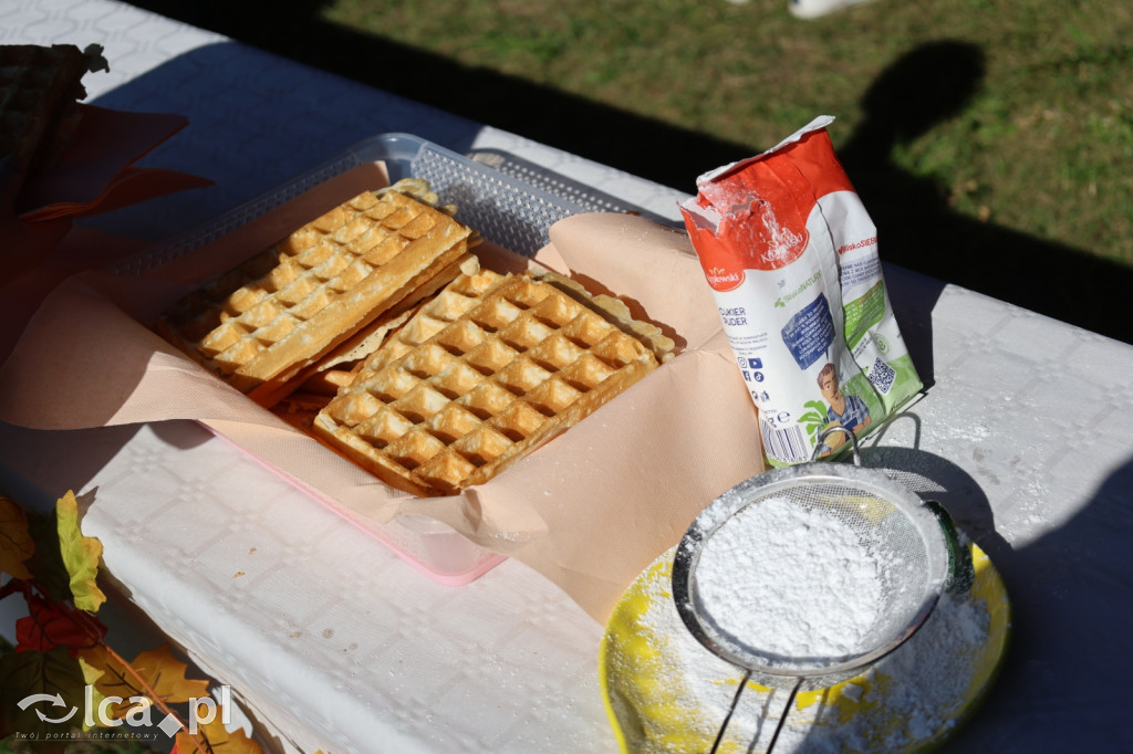 Święto Pieczonego Ziemniaka w Prochowicach