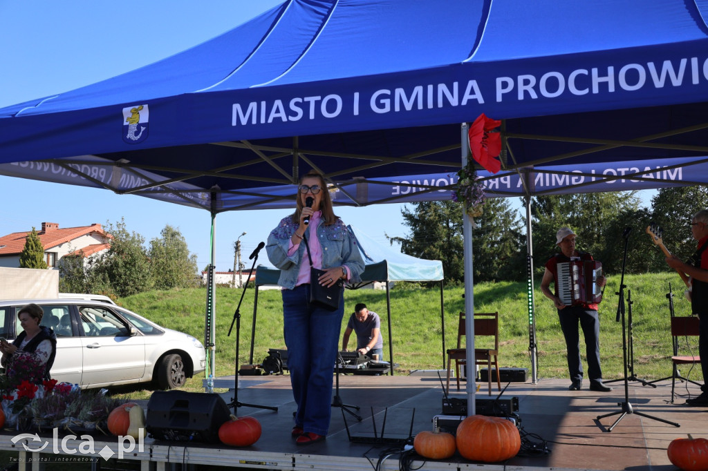 Święto Pieczonego Ziemniaka w Prochowicach