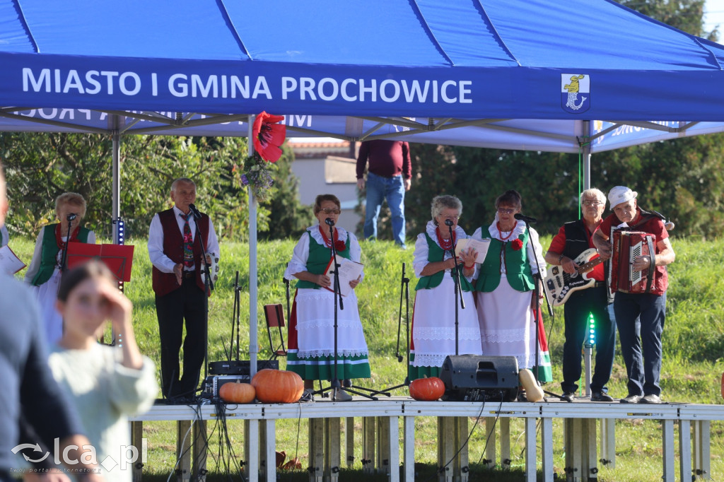 Święto Pieczonego Ziemniaka w Prochowicach