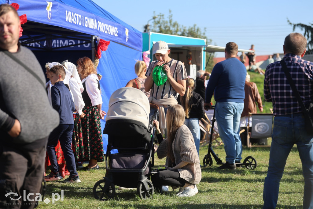 Święto Pieczonego Ziemniaka w Prochowicach