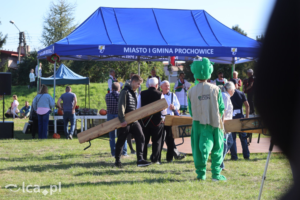 Święto Pieczonego Ziemniaka w Prochowicach