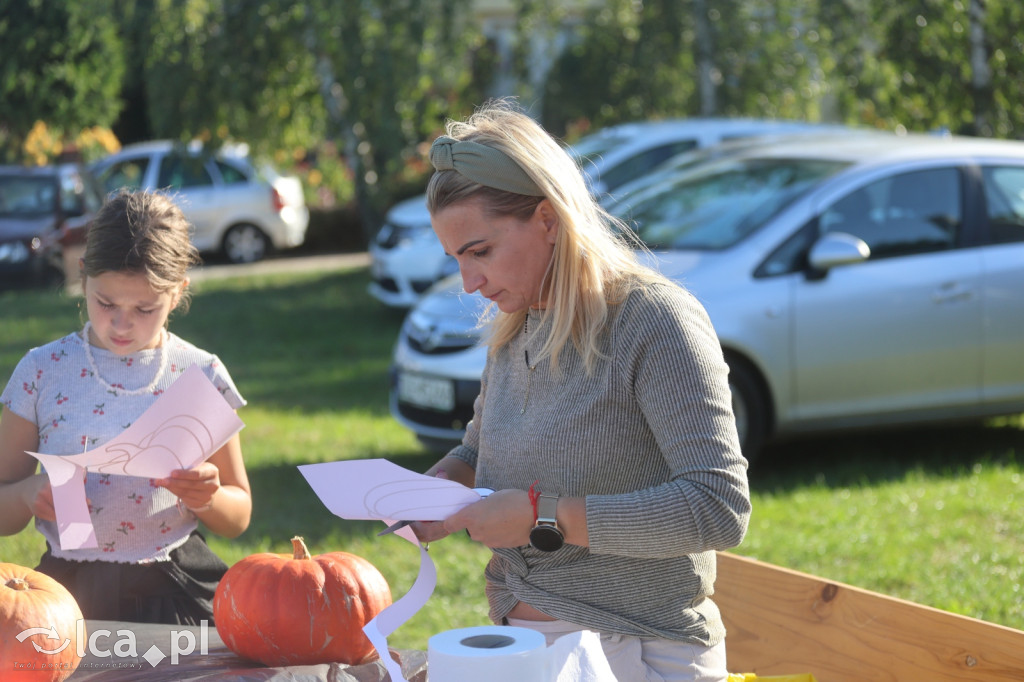 Święto Pieczonego Ziemniaka w Prochowicach