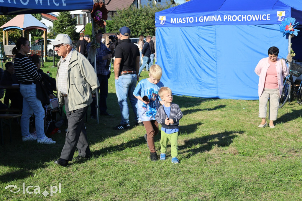 Święto Pieczonego Ziemniaka w Prochowicach
