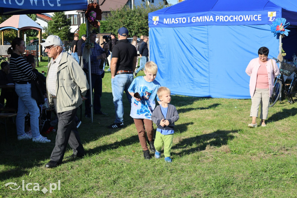 Święto Pieczonego Ziemniaka w Prochowicach