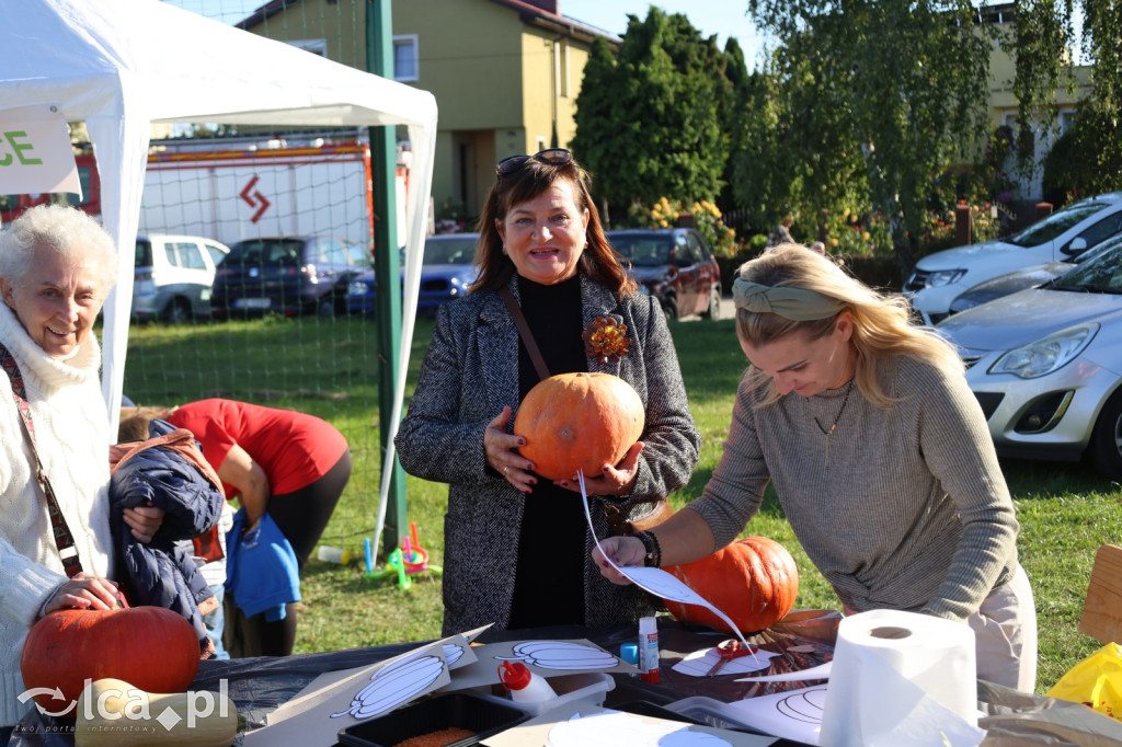 Święto Pieczonego Ziemniaka w Prochowicach