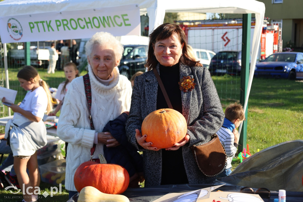 Święto Pieczonego Ziemniaka w Prochowicach