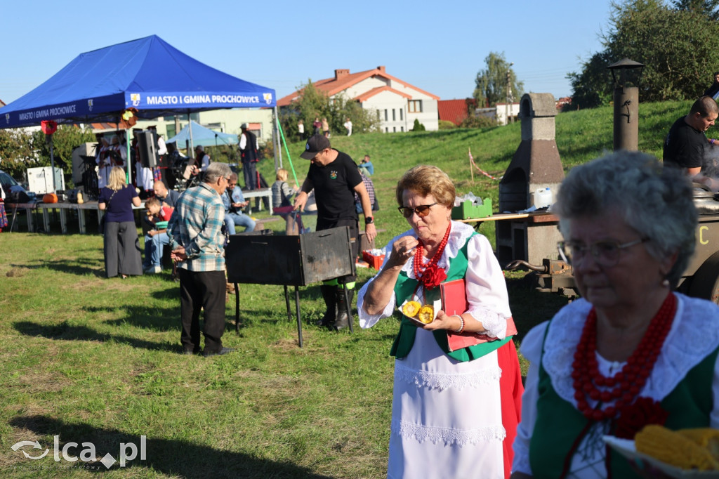 Święto Pieczonego Ziemniaka w Prochowicach