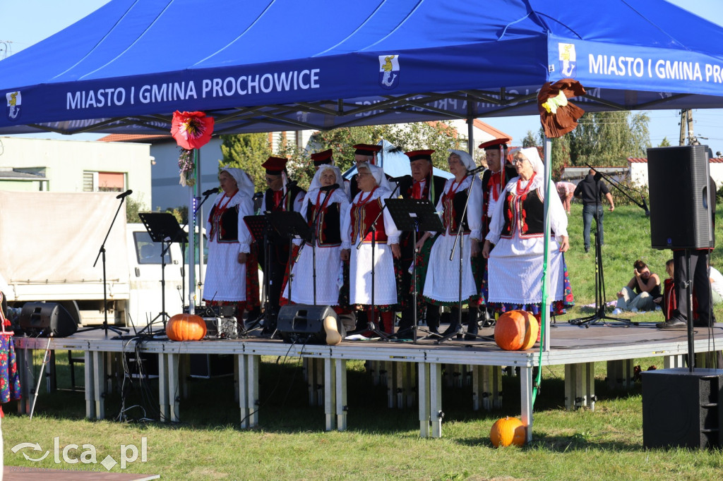 Święto Pieczonego Ziemniaka w Prochowicach