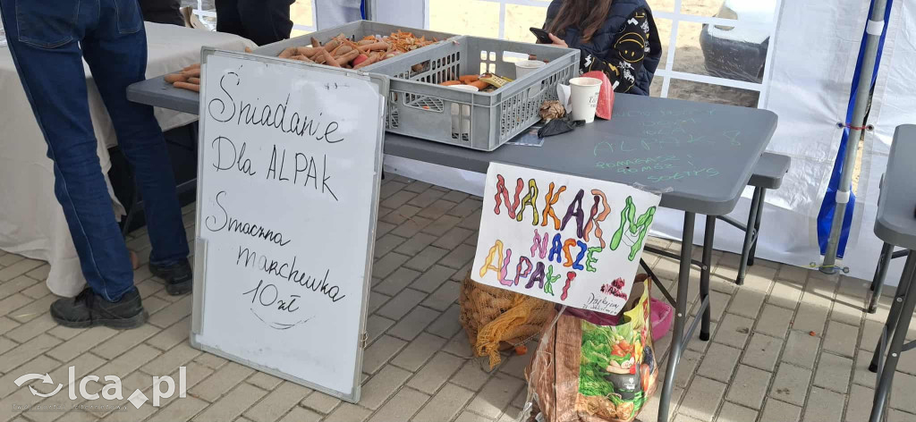 Pierwszy targ produktów lokalnych w Bartoszowie