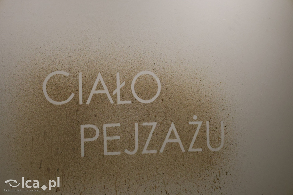 Ciało pejzażu – nowa wystawa Małgorzaty Kalińskiej