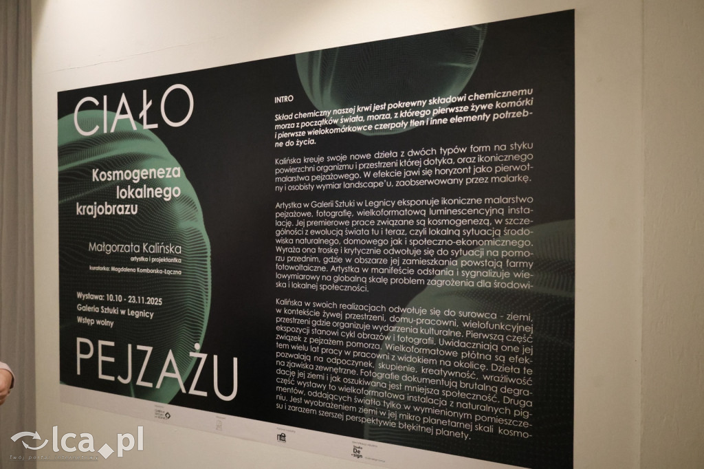 Ciało pejzażu – nowa wystawa Małgorzaty Kalińskiej