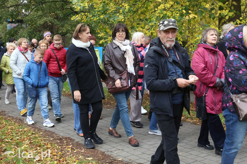 Zagadki i historie budynku przy Zielonej