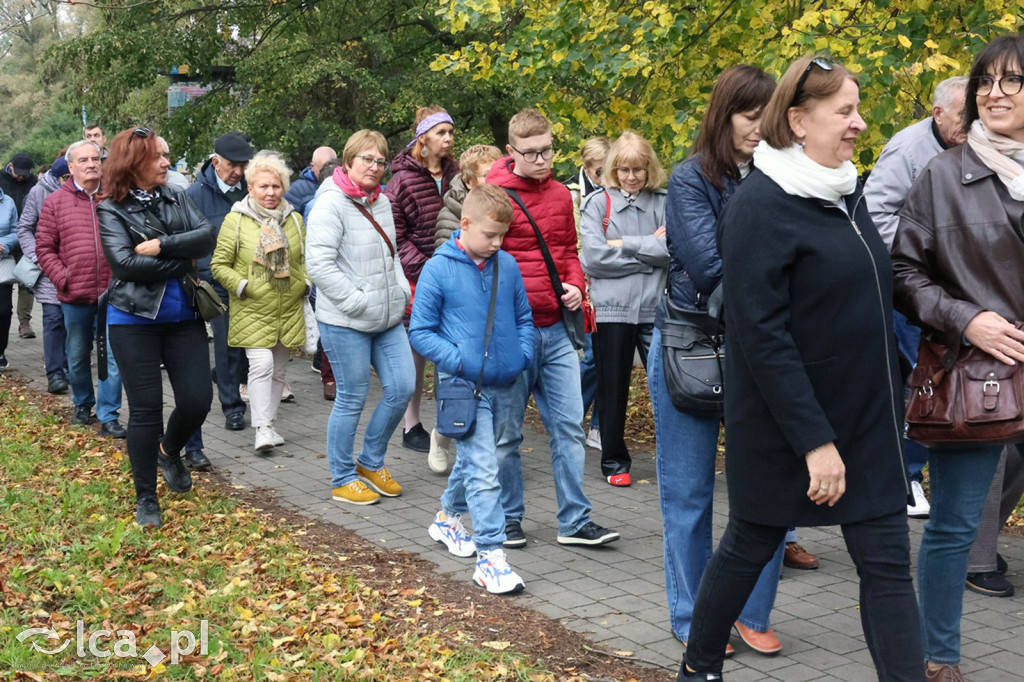 Zagadki i historie budynku przy Zielonej