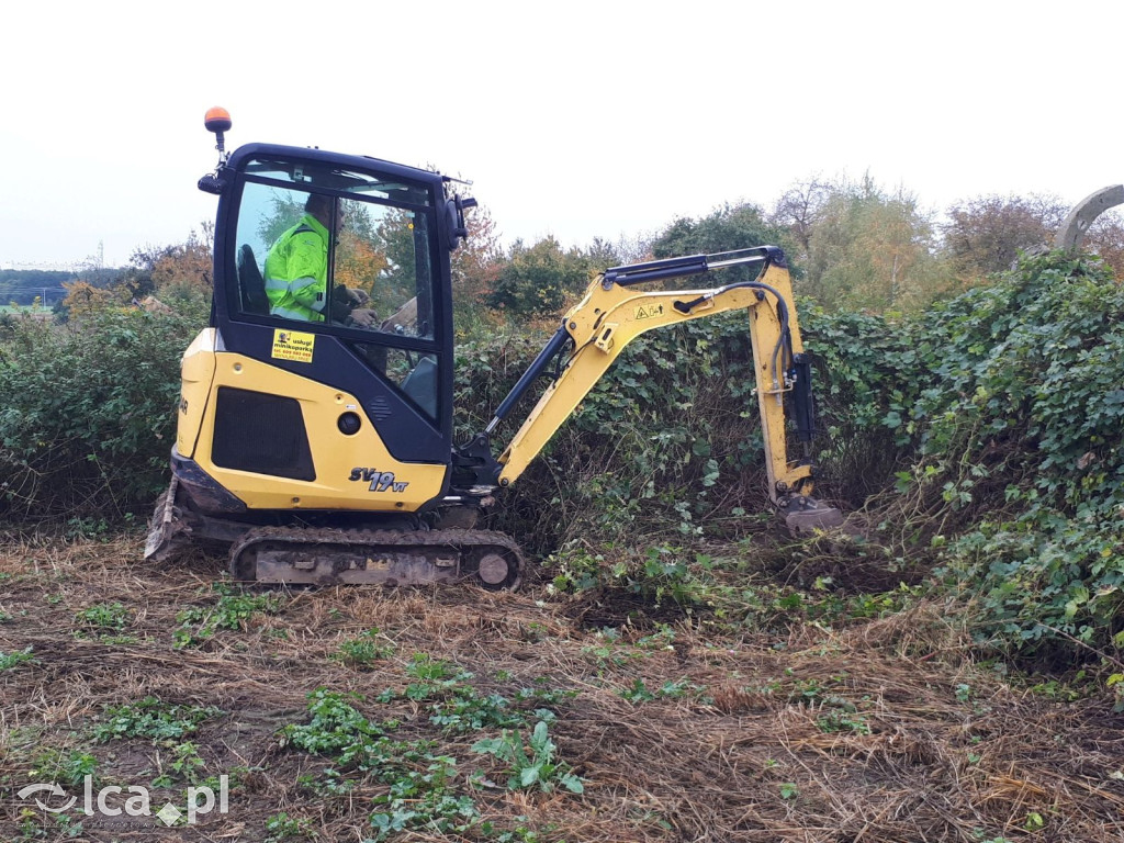 Ziemia kryła ten grób przez 80 lat
