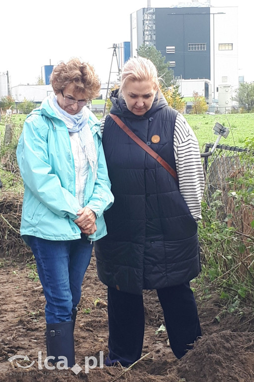 Ziemia kryła ten grób przez 80 lat