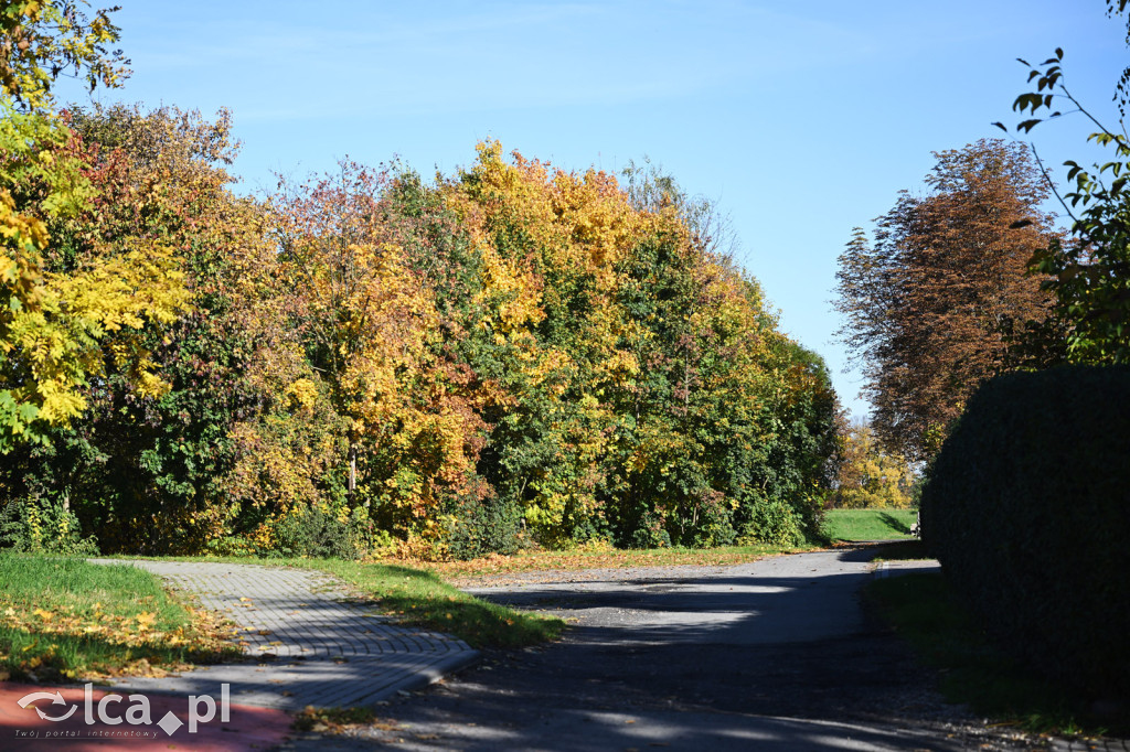 Jesienna Legnica i jesienni legniczanie