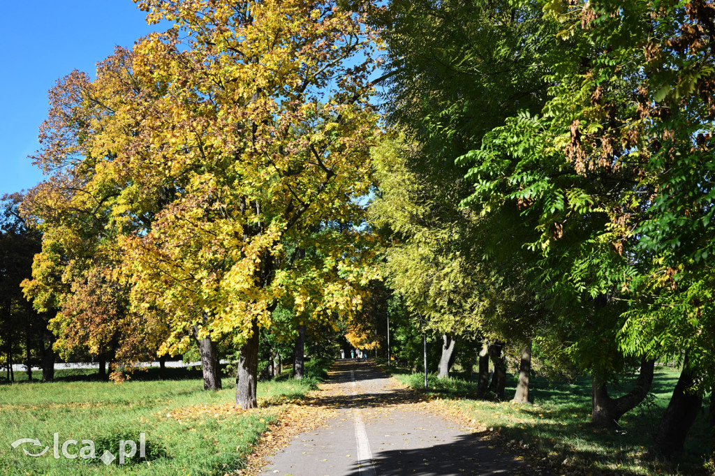 Jesienna Legnica i jesienni legniczanie
