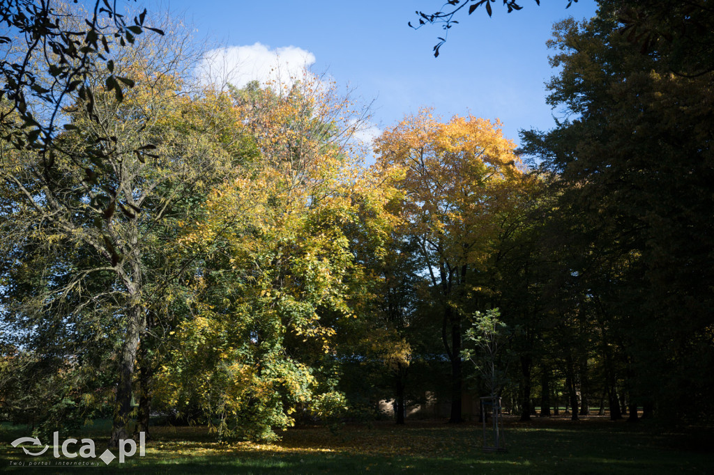 Jesienna Legnica i jesienni legniczanie