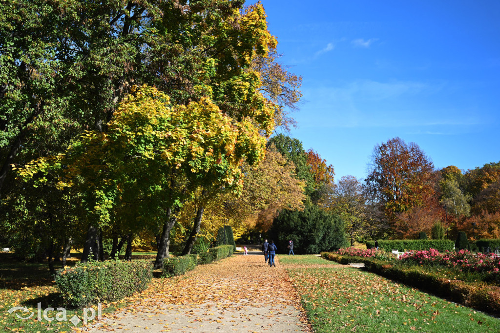 Jesienna Legnica i jesienni legniczanie