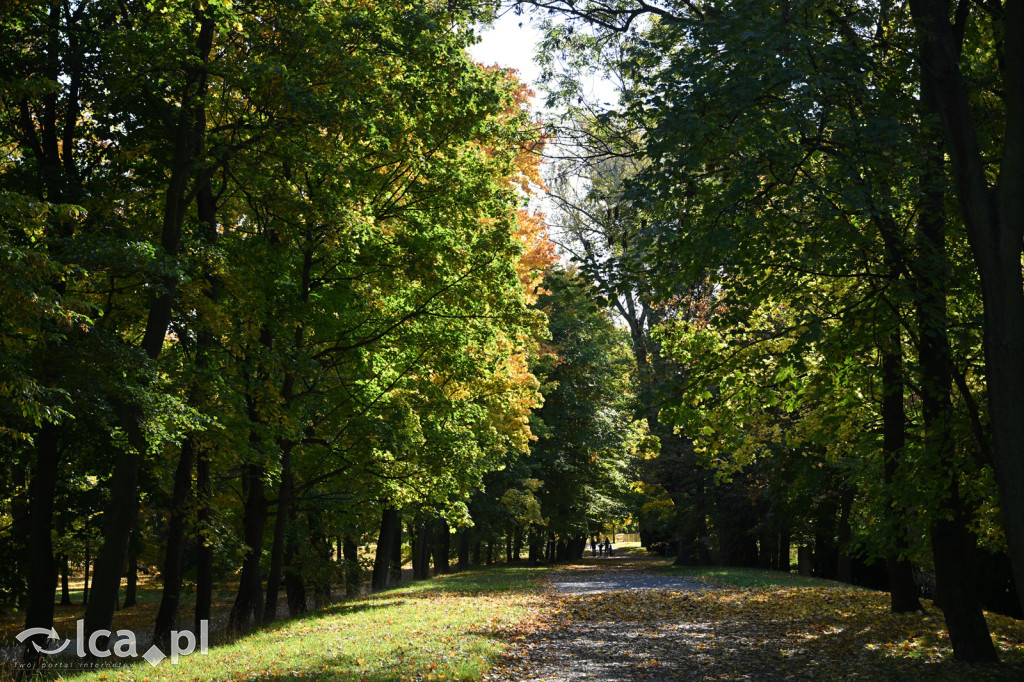 Jesienna Legnica i jesienni legniczanie