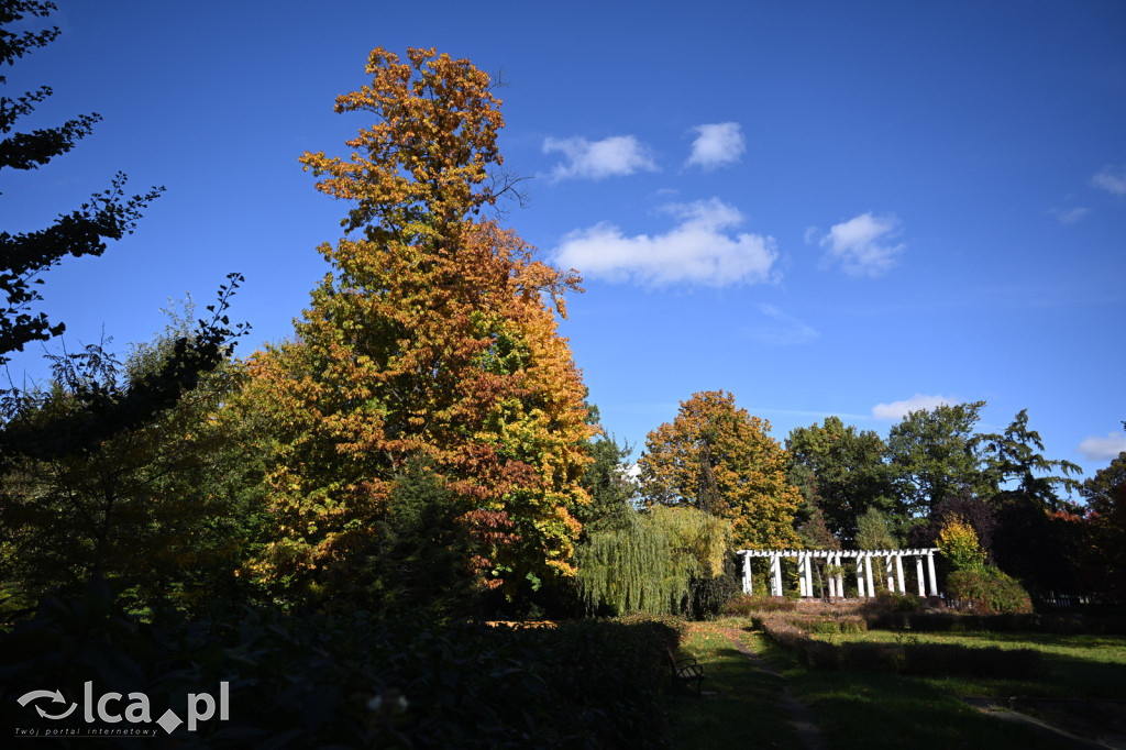 Jesienna Legnica i jesienni legniczanie