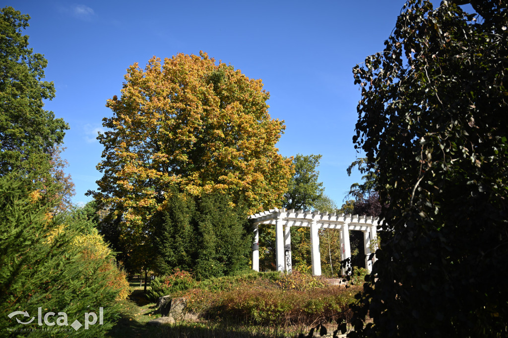 Jesienna Legnica i jesienni legniczanie